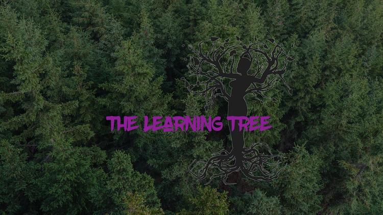 The Learning Tree - Classes